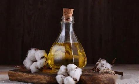 棉花籽油的功效与作用及食用方法