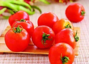西红柿减肥法一天瘦三斤